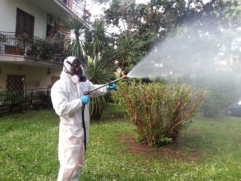 Trattamento antizanzare mirato sulla vegetazione del giardino