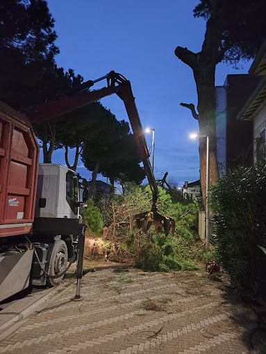 Smaltimento Potature a Rimini