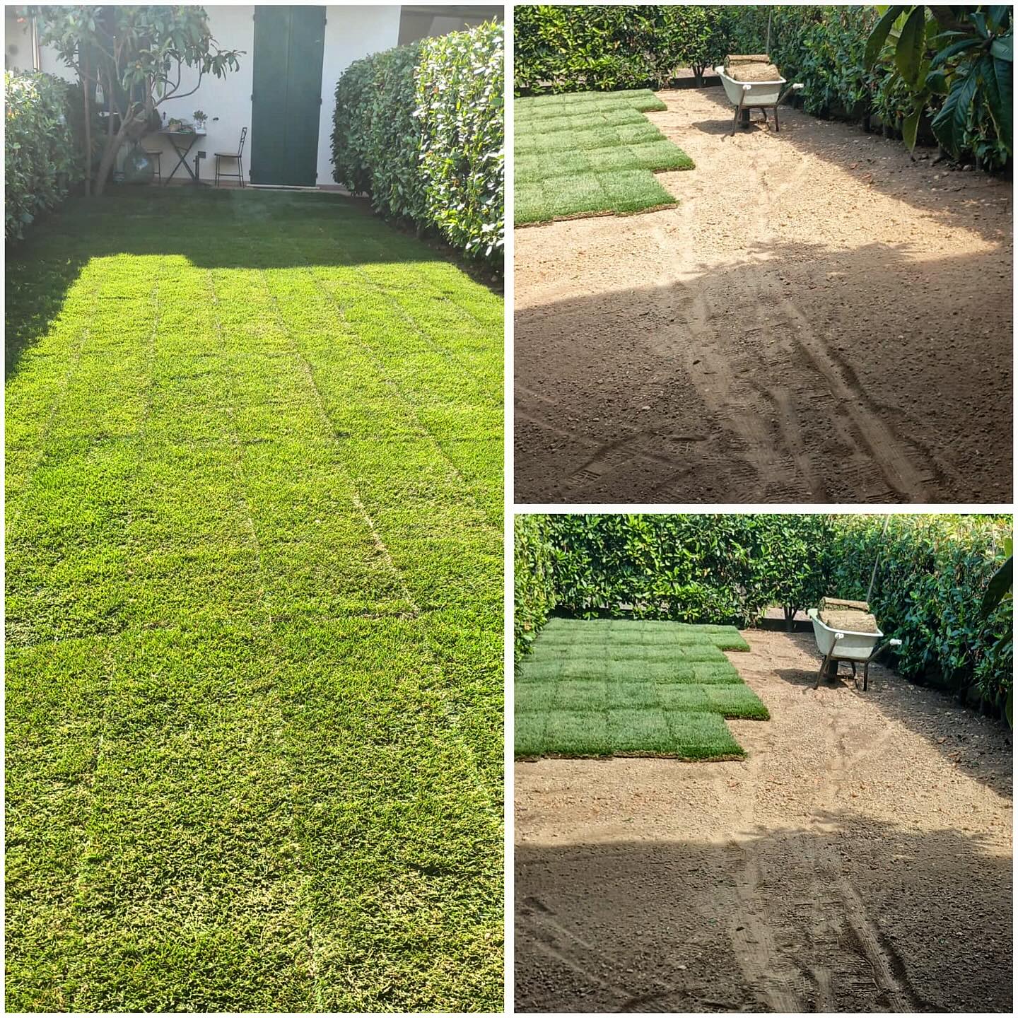 Pulizia area verde Cervia