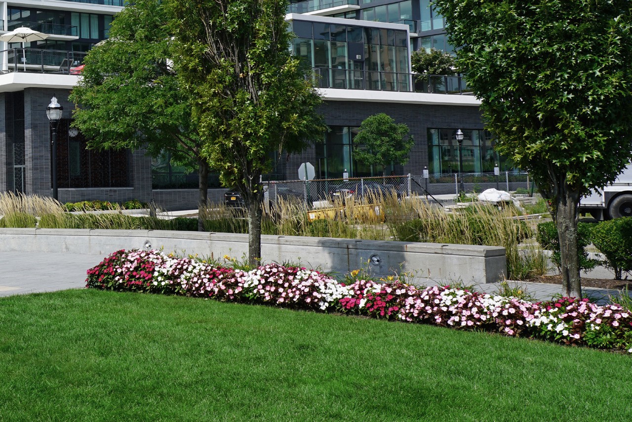 Creazione e Manutenzione Aree Verdi