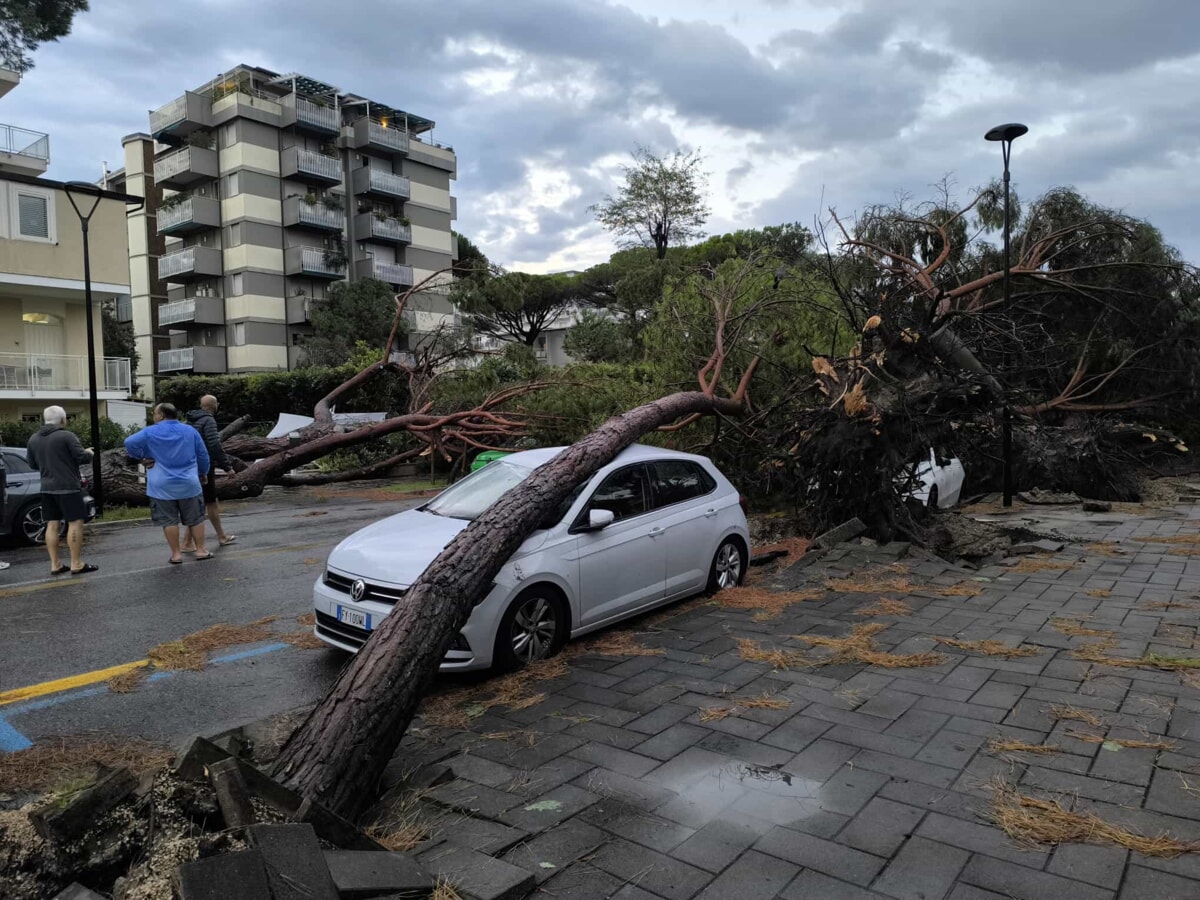 Servizio emergenze verde
