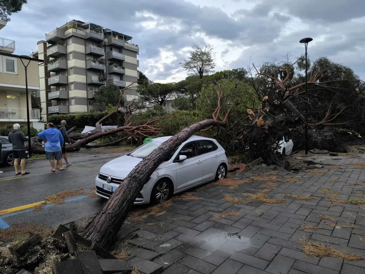 Servizio emergenze verde