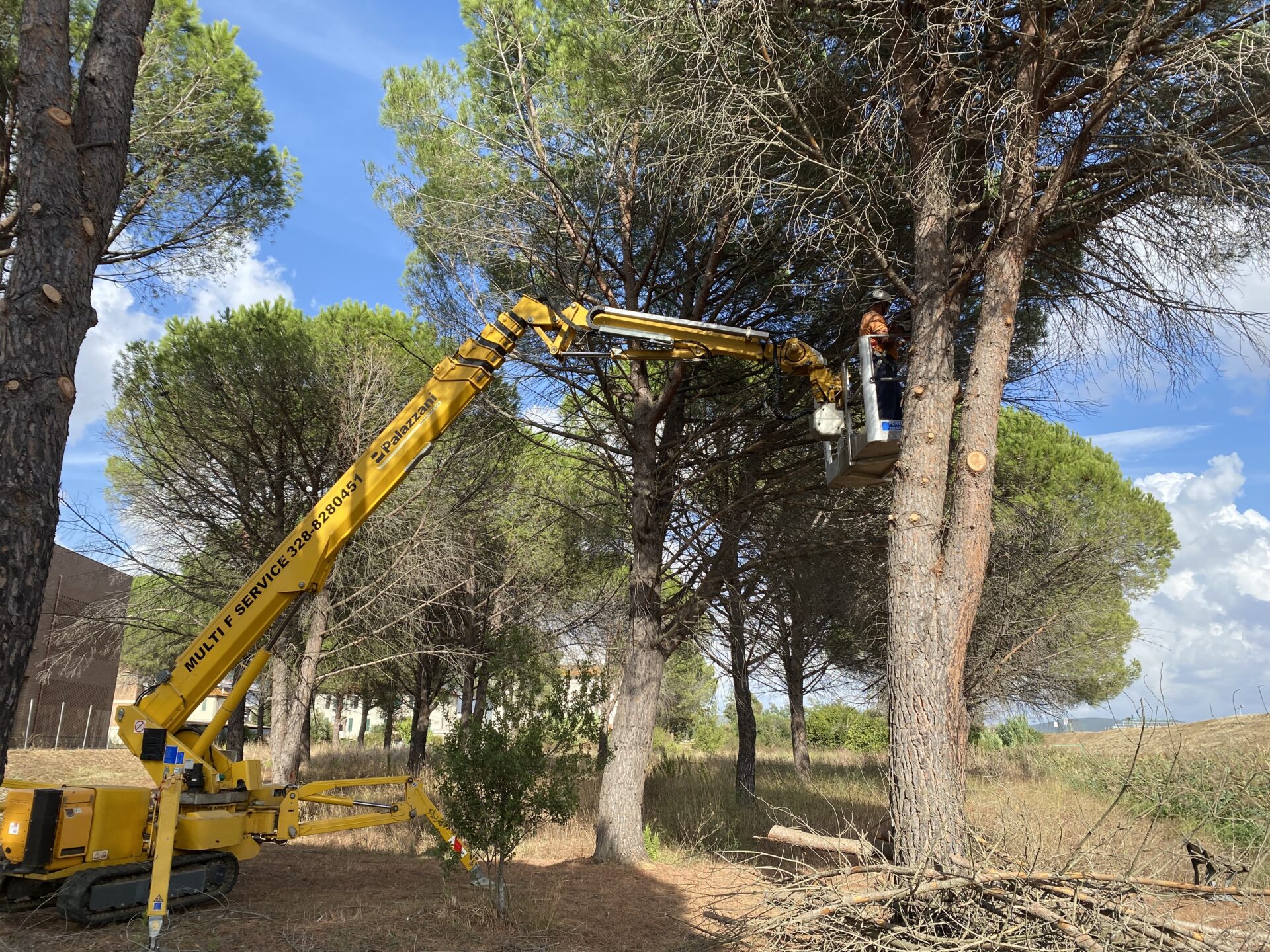 Potatura con Piattaforma