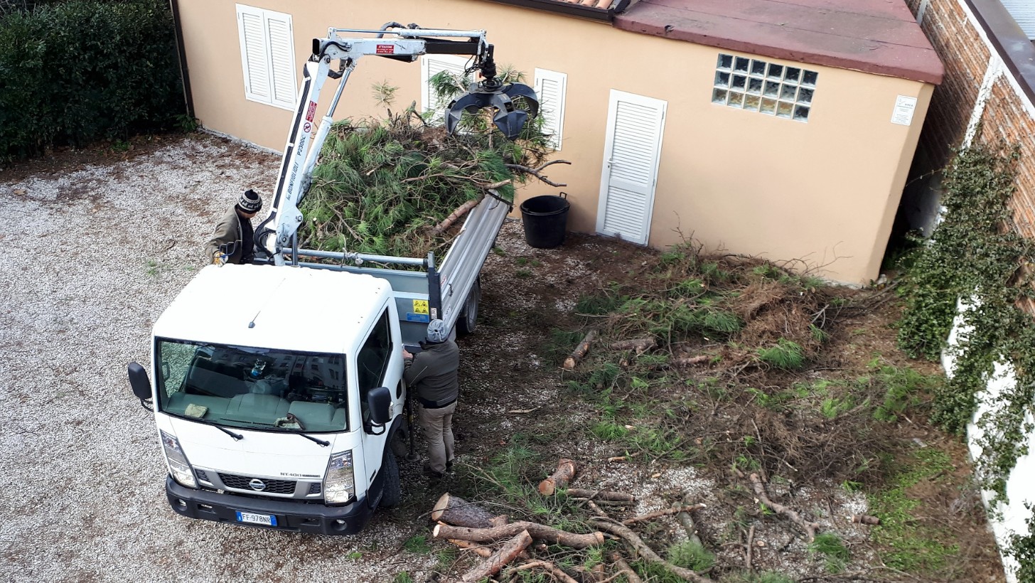 Smaltimento Residui di Potature